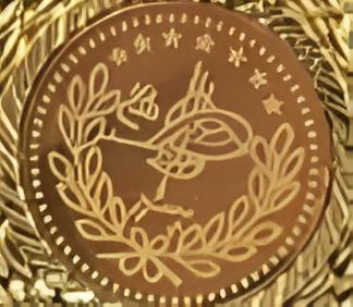 Gold-Plated Ottoman Medallion Necklace Set | Turkish Lira Coin Pendant Jewelry | Traditional Heritage Gift